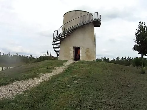 Млади съседи порно с ...