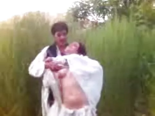 Мургава едрогърда бр ...